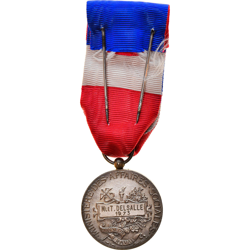 França, Honneur et Travail, Ministère des Affaires Sociales, Medal, 1973