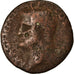 Munten, Agrippa, As, Rome, ZG, Bronze, RIC:58