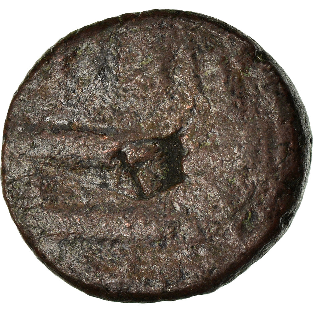 Moneda, Abbasid Caliphate, Fals, BC, Cobre