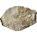 Moneta, Russia, Peter I, Kopek, 1682-1725, B, Argento