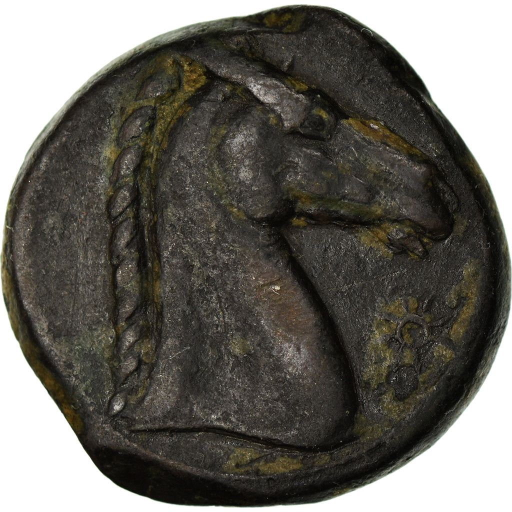 Monnaie, Zeugitana, Shekel, 300-264 BC, Carthage, TTB, Bronze, SNG-Cop:144