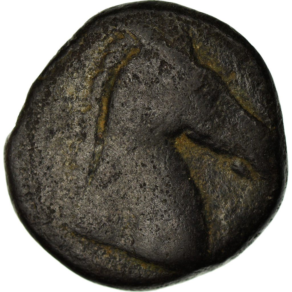 Moneta, Zeugitana, Shekel, 300-264 BC, Carthage, MB+, Bronzo, SNG-Cop:144