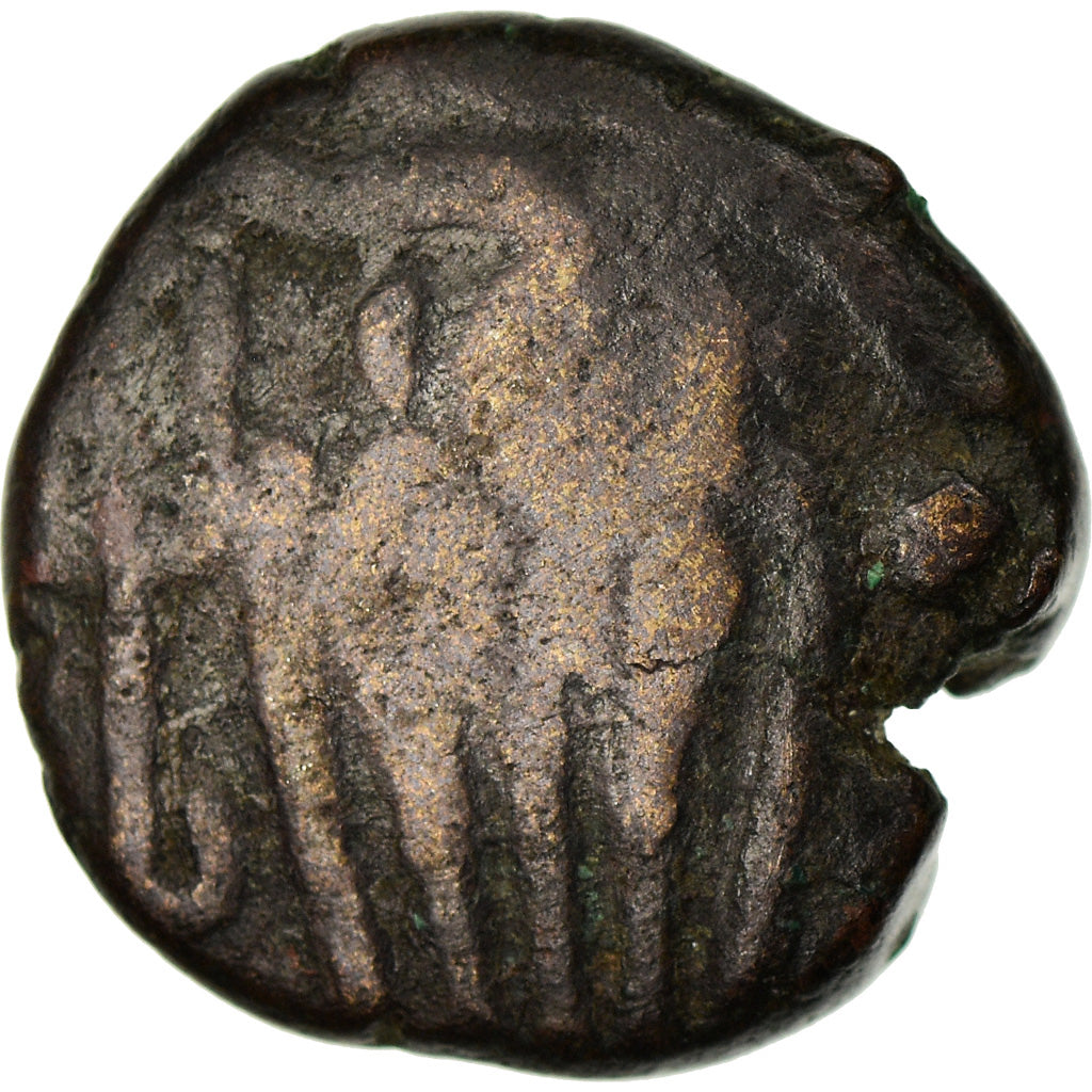 Moneta, Ceylon, Lilavati, Massa, 1197-1210, B+, Bronzo