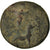Moneta, Cilicia, Ae, 164-27 BC, Tarsos, B+, Bronzo, SNG-France:1344-51