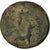 Coin, Cilicia, Ae, 164-27 BC, Tarsos, F(12-15), Bronze, SNG-France:1344-51
