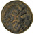 Moneta, Phrygia, Apameia, Ae, 133-48 BC, BB, Bronzo, BMC:67-71