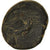 Coin, Phrygia, Bronze Æ, 88-40 BC, Apameia, VF(30-35), Bronze, SNG-Cop:161-2