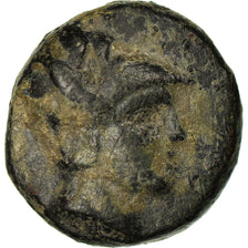 Munten, Macedonisch Koninkrijk, Demetrios Poliorketes, Bronze Æ, Salamis, FR+