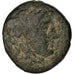 Monnaie, Royaume Séleucide, Seleukos I, Bronze Æ, 312-281 BC, Sardes, TB