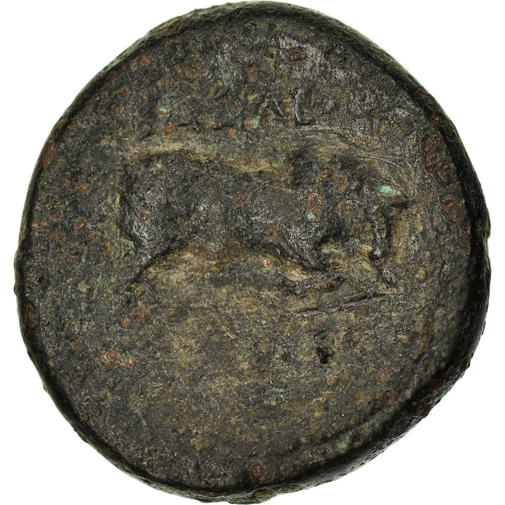 Monnaie, Royaume Séleucide, Seleukos I, Bronze Æ, 312-281 BC, Sardes, TB