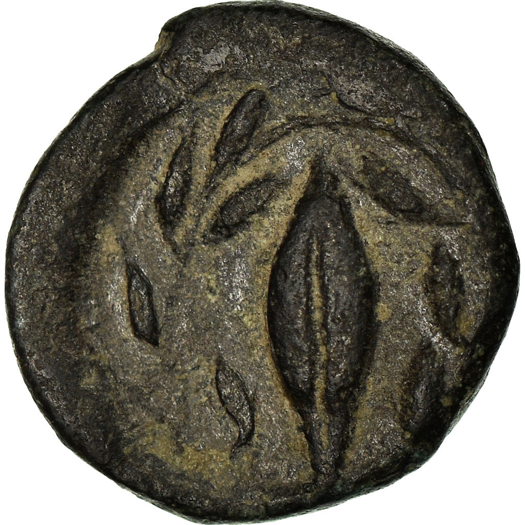 Coin, Aeolis, Elaia, Ae, 340-300 BC, EF(40-45), Bronze, SNG-Cop:169