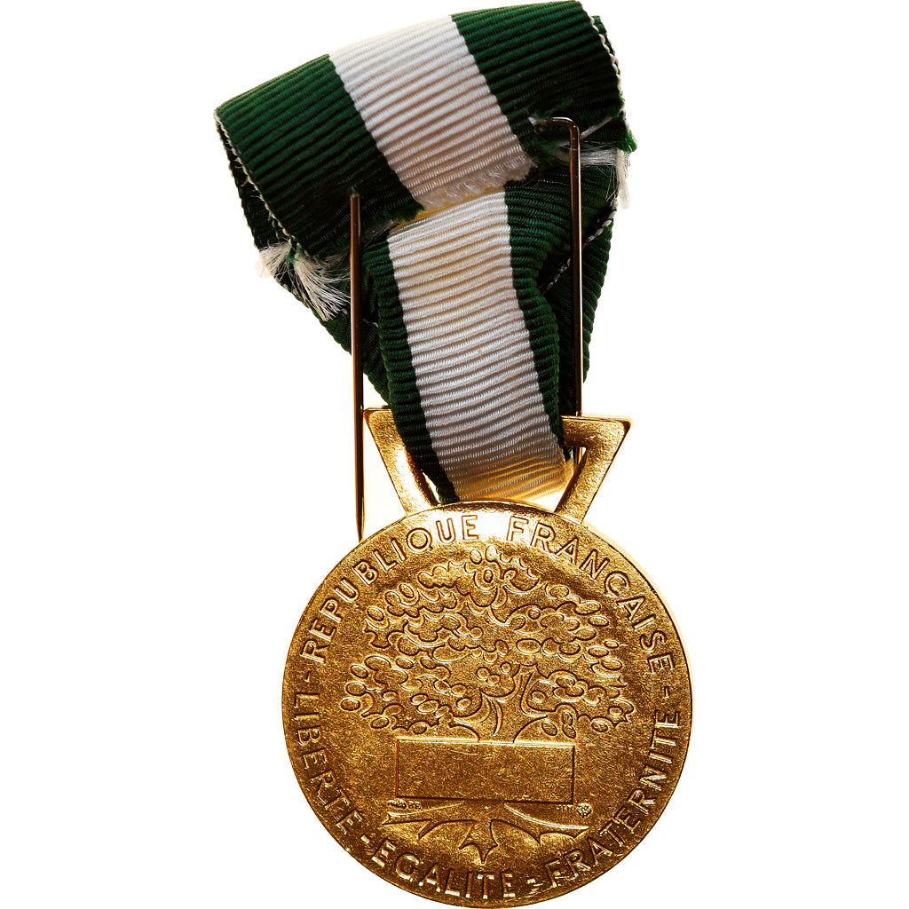França, Médaille d'honneur communale, régionale et départementale, Medal