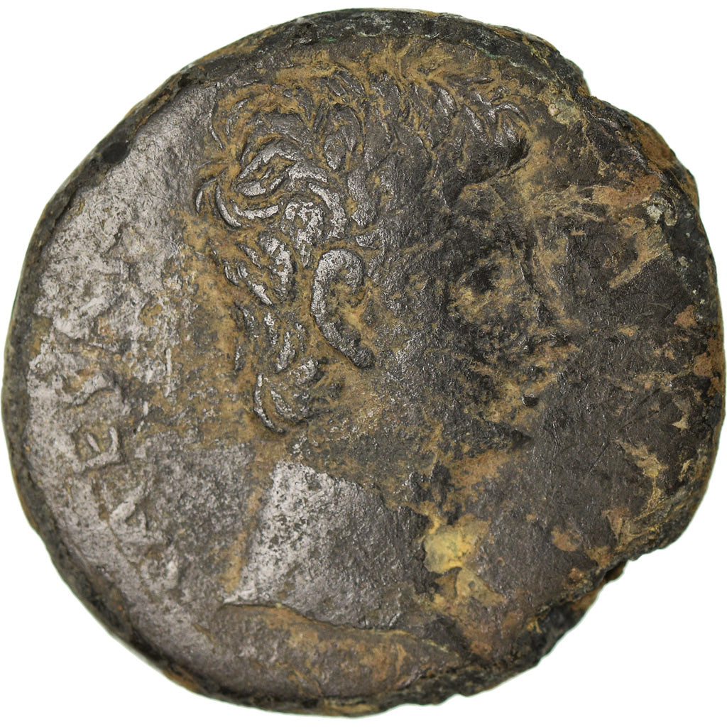 Moneta, Seleucid i Pierie, Augustus, Ae, 27 BC- AD 14, Antioch, VF(30-35)