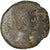 Monnaie, Séleucie et Piérie, Auguste, Ae, 27 BC- AD 14, Antioche, TB+, Bronze