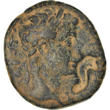 Moneda, Seleucis and Pieria, Augustus, Ae, 27 BC- AD 14, Antioch, BC+, Bronce