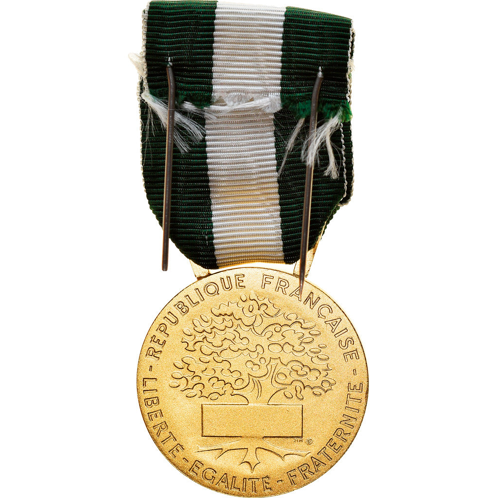 France, Médaille d'honneur communale, régionale et départementale, Medal