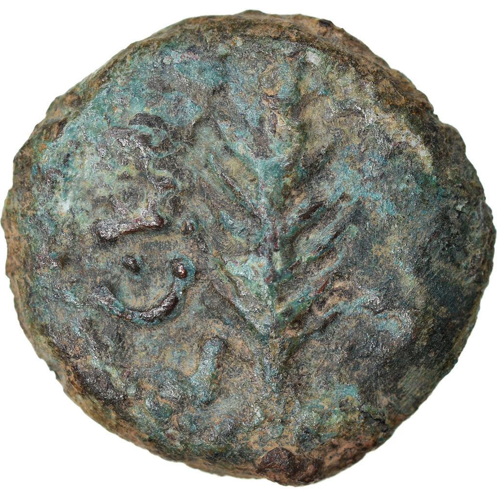 Coin, Judaea, Procurators, Porcius Festus, Prutah, RY 5 (58/9 AD), Jerusalem