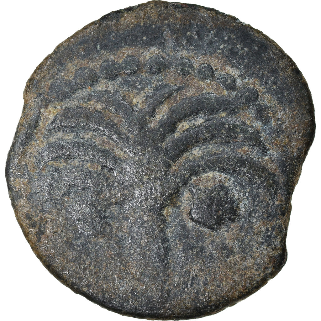 Monnaie, Judée, Procurators, Coponius, Prutah, RY 36 (5/6 AD), Jerusalem, TB