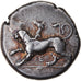 Coin, Sikyonia, Sikyon, Stater, 431-400 BC, EF(40-45), Silver