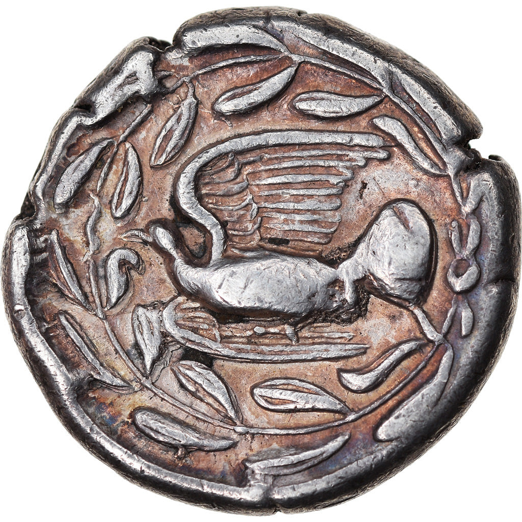 Coin, Sikyonia, Sikyon, Stater, 431-400 BC, EF(40-45), Silver