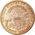 Moneta, Stati Uniti, Liberty Head, $20, Double Eagle, 1891, U.S. Mint, San