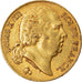 Moeda, França, Louis XVIII, 20 Francs, 1816, Paris, EF(40-45), Gold