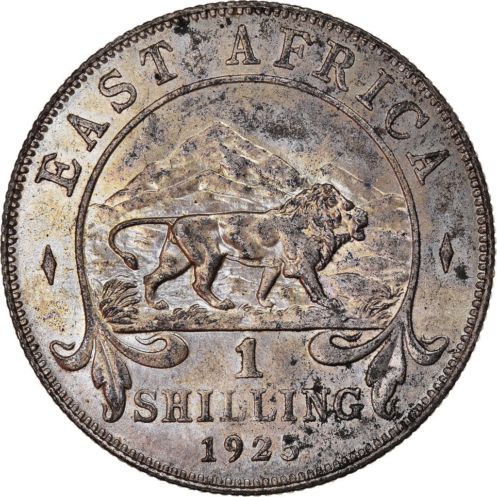 Munten, OOST AFRIKA, George V, Shilling, 1925, PR+, Zilver, KM:21