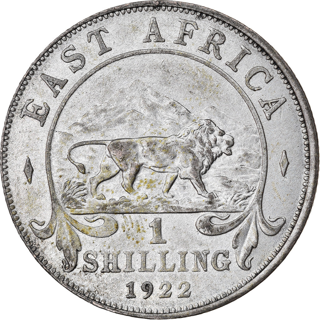 Monnaie, EAST AFRICA, George V, Shilling, 1922, SUP, Argent, KM:21