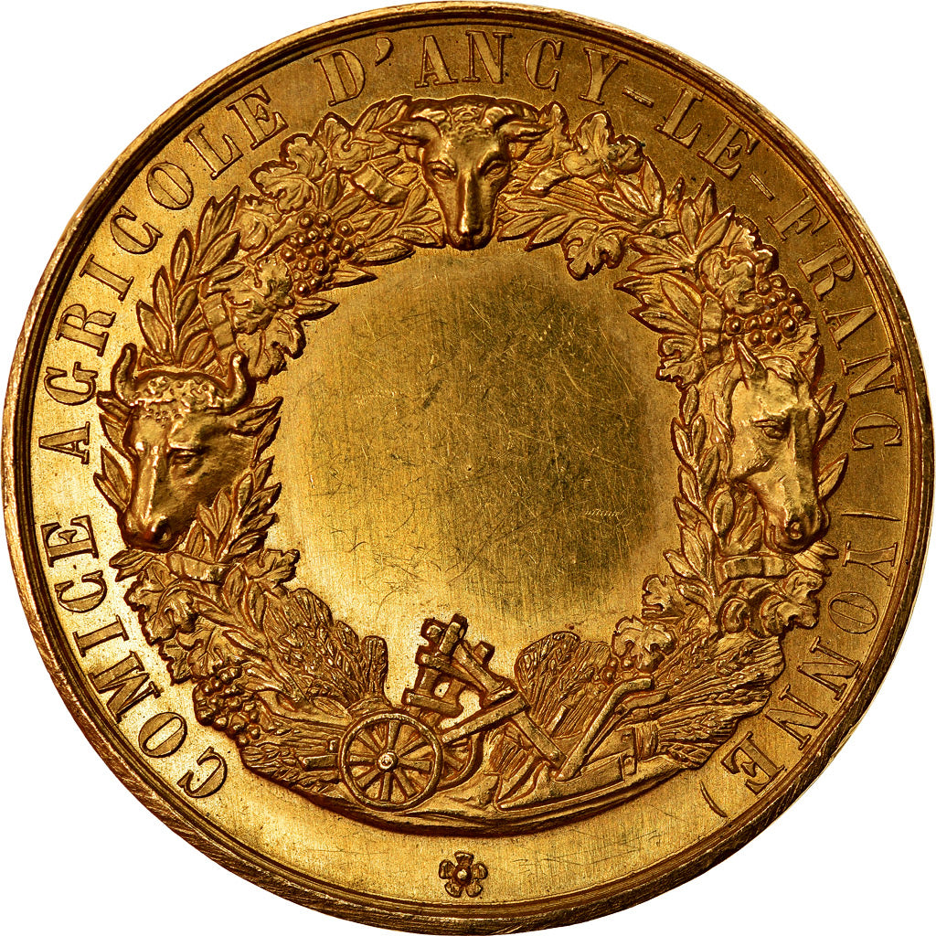 France, Medal, Olivier de Serres, Comice Agricole d'Ancy-Le-Franc, De Longueil