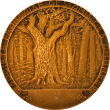 Francia, medalla, Société Française des Amis des Arbres, Eaux et Forêt