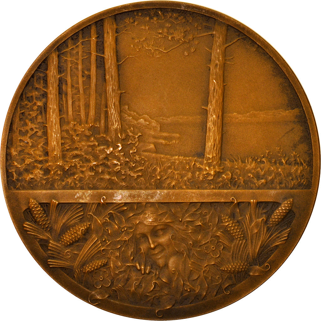 Francia, medalla, Société Française des Amis des Arbres, Eaux et Forêt
