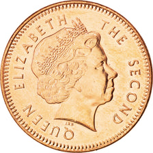 FALKLAND ISLANDS, 2 Pence, 2004, KM #131, MS(63), Copper Plated Steel, 25.9,...