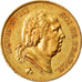 Moneda, Francia, Louis XVIII, Louis XVIII, 40 Francs, 1816, Paris, MBC+, Oro