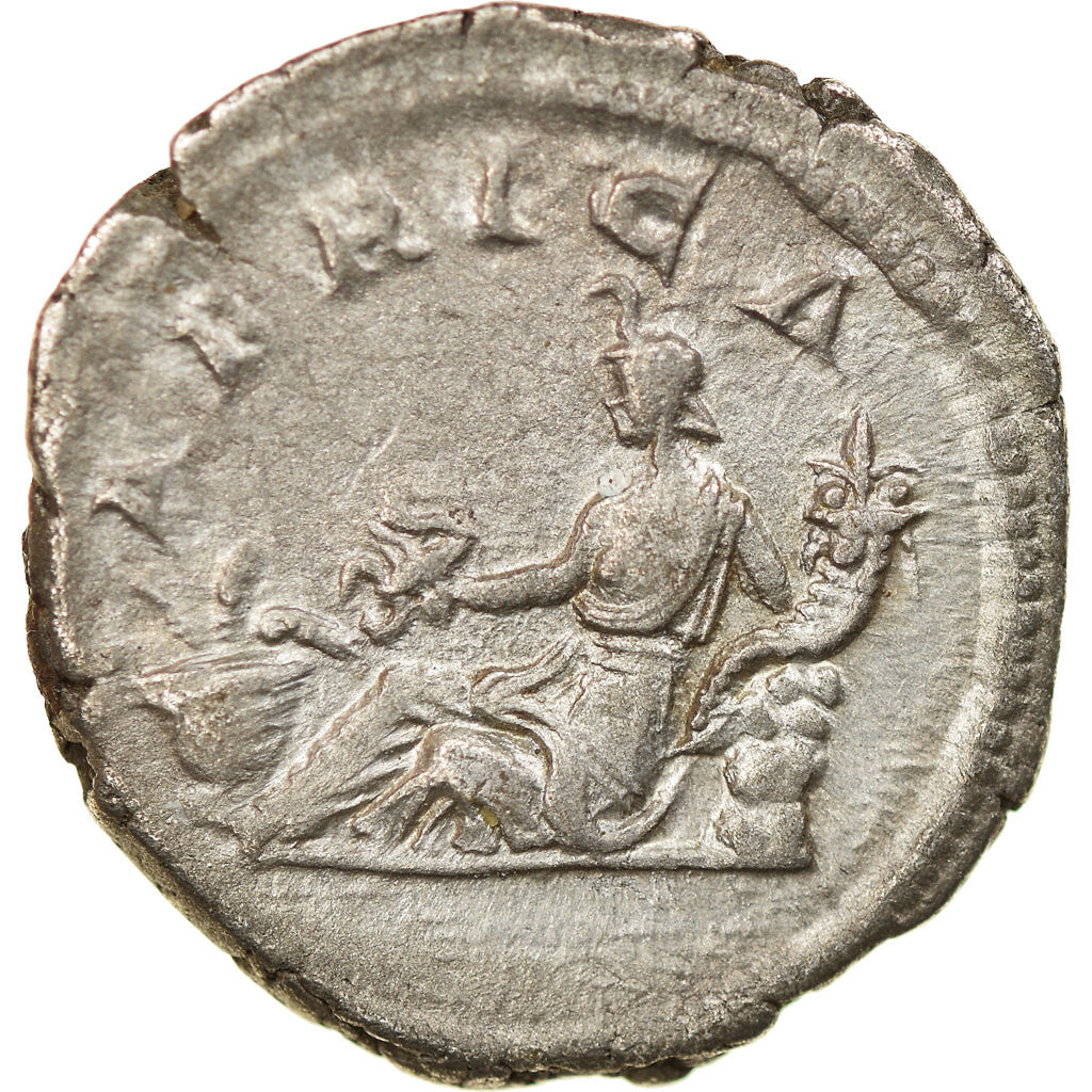 Coin, Septimius Severus, Denarius, 202-210, Rome, AU(50-53), Silver, RIC:254