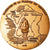 France, Medal, 35ème Anniversairte de la Fin de la Guerre, Flamme du Souvenir