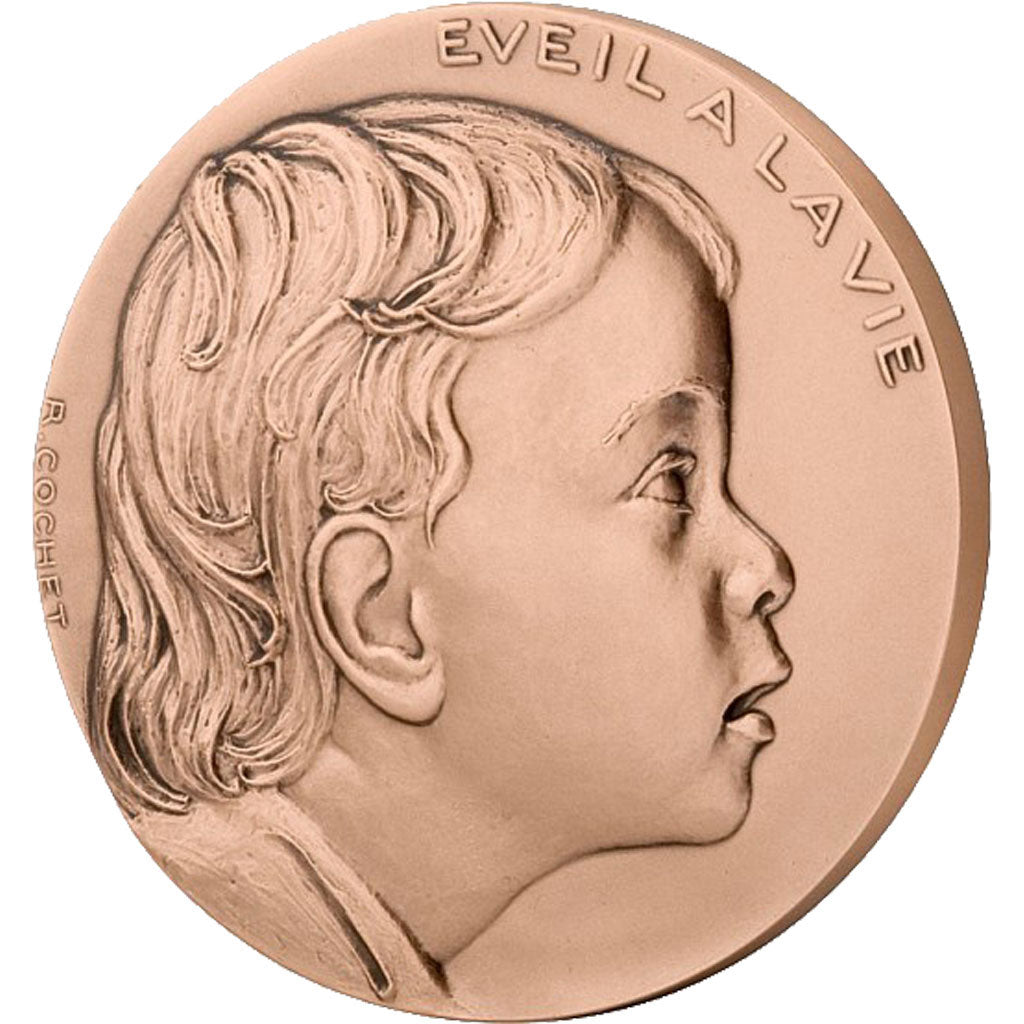 Francja, Medal, Piąta Republika, Polityka, społeczeństwo, wojna, Cochet