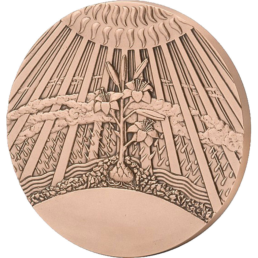 Francja, Medal, Piąta Republika, Polityka, społeczeństwo, wojna, Cochet