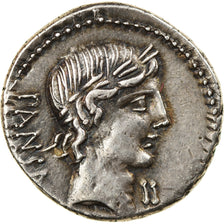 Coin, Vibius, Denarius, 90 BC, Rome, AU(55-58), Silver, Crawford:342/5b