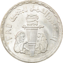 Monnaie, Égypte, Pound, 1981, SUP+, Argent, KM:523