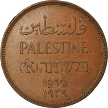 Coin, Palestine, Mil, 1939, AU(50-53), Bronze, KM:1