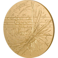 France, Medal, The Fifth Republic, Sports & leisure, Mauviel, FDC, Gilt Bronze