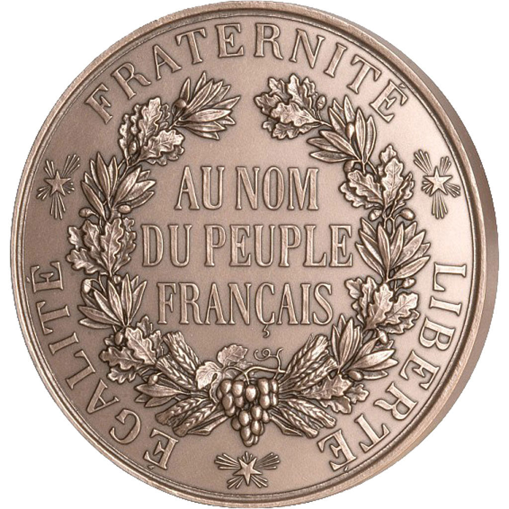 France, Medal, The Fifth Republic, History, Barre, MS(65-70), Bronze