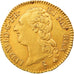 Monnaie, France, Louis XVI, Louis d'or à la tête nue, Louis d'Or, 1785, Paris