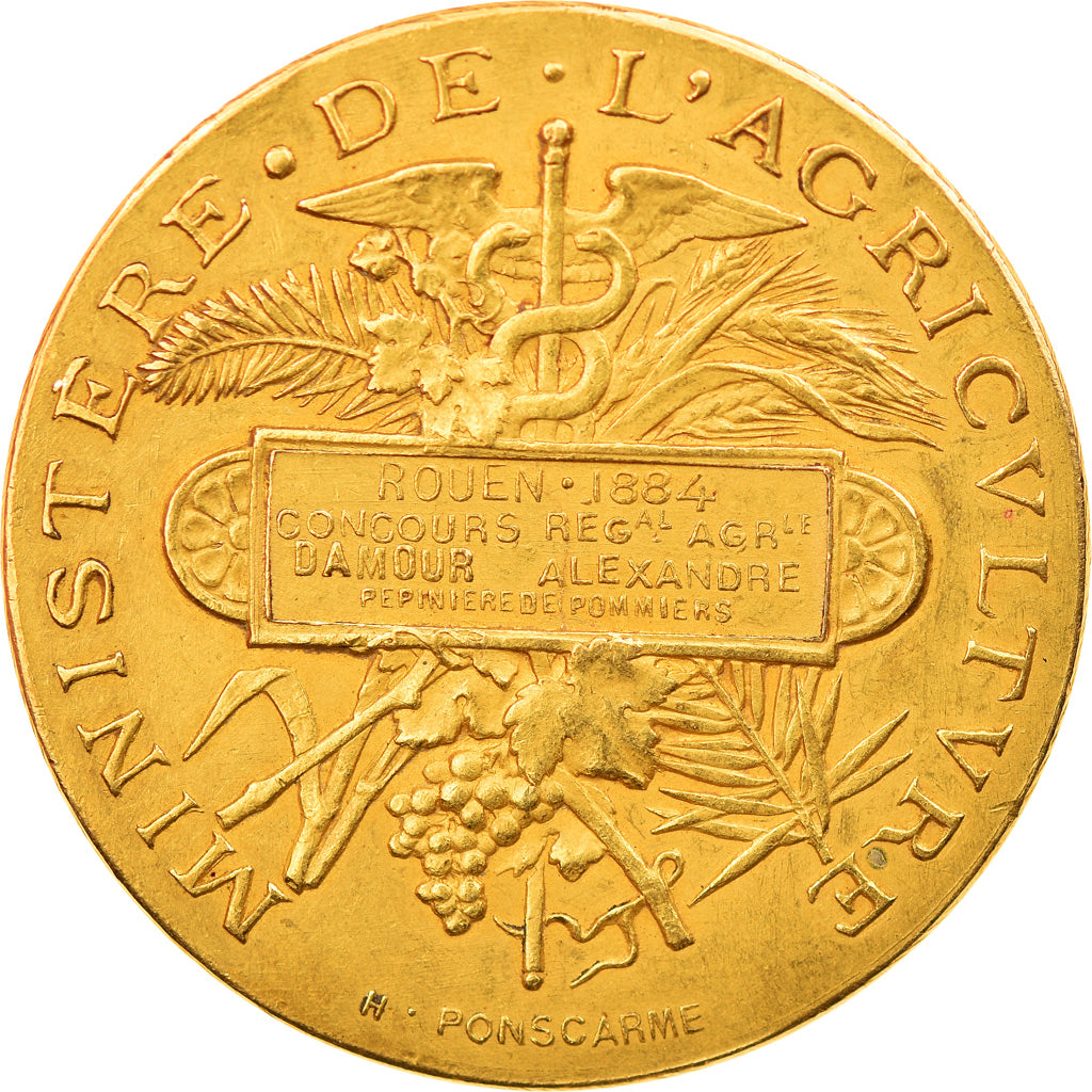 Francia, medaglia, République Française, Concours agricole Rouen, 1884