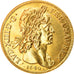 France, Medal, Louis XIII, 10 Louis, 1640, Restrike, MS(65-70), Gold
