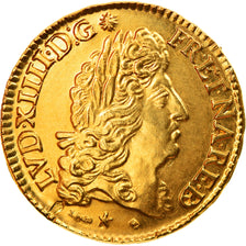 Frankreich, Medaille, Louis XIV, Louis d'or de Béarn, 1691, Gold, Restrike, UNZ