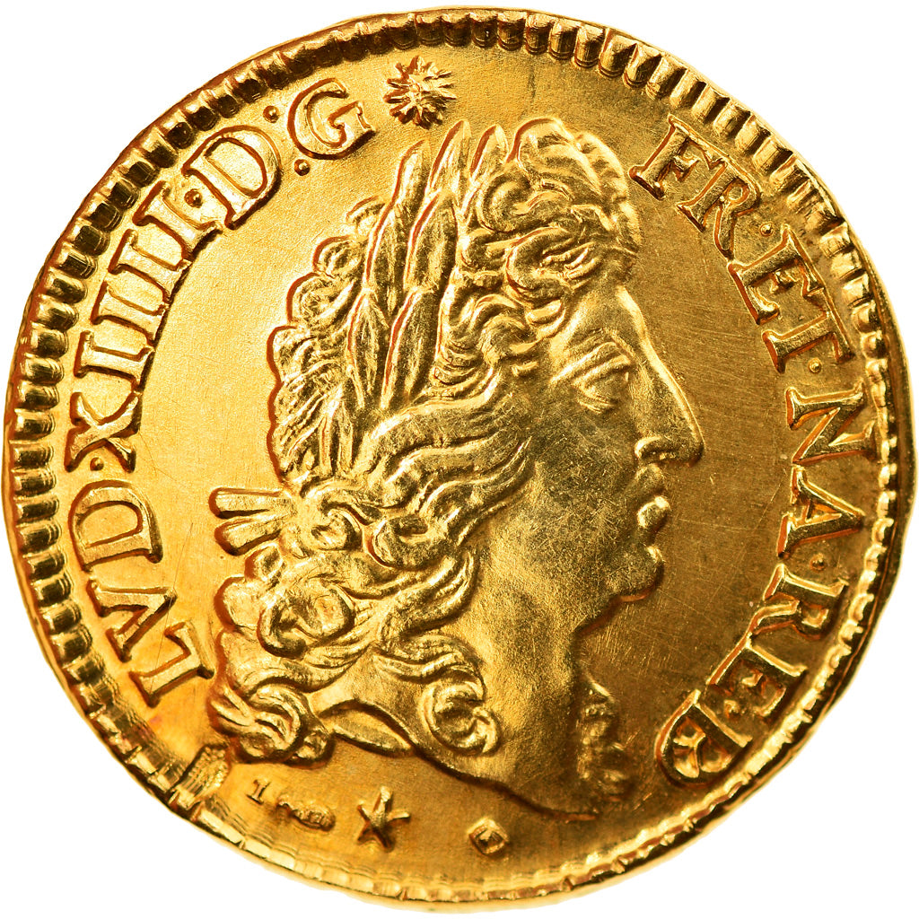 France, Medal, Louis XIV, Louis d'or de Béarn, 1691, Restrike, MS(64), Gold
