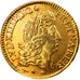 France, Medal, Louis XIV, Louis d'or de Béarn, 1691, Restrike, MS(64), Gold