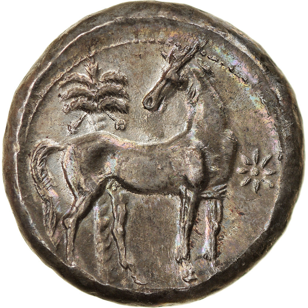 Coin, Zeugitana, Shekel, c. 300 bc, Carthage, MS(60-62), Silver, SNG-Cop:141