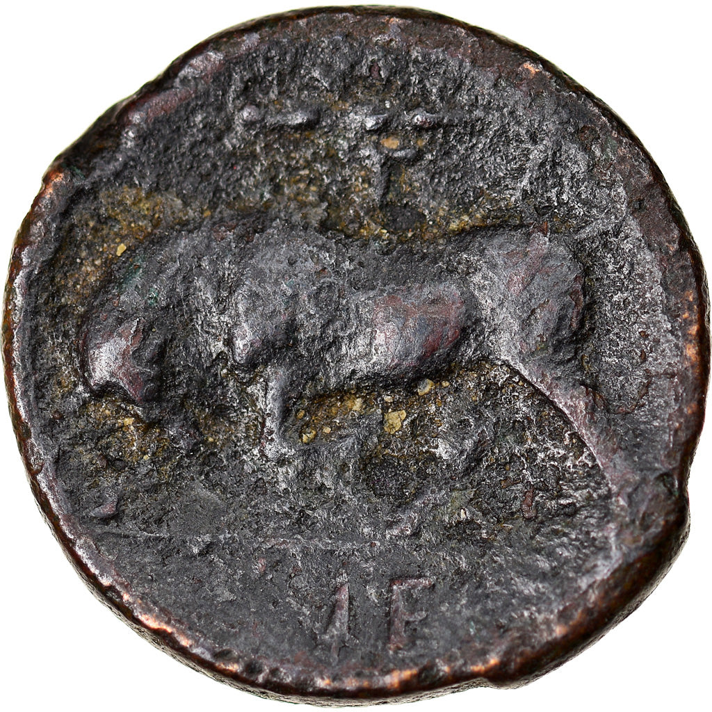 Coin, Sicily, Hieron II, Bronze Æ, 275-215 BC, Syracuse, EF(40-45), Bronze, SNG